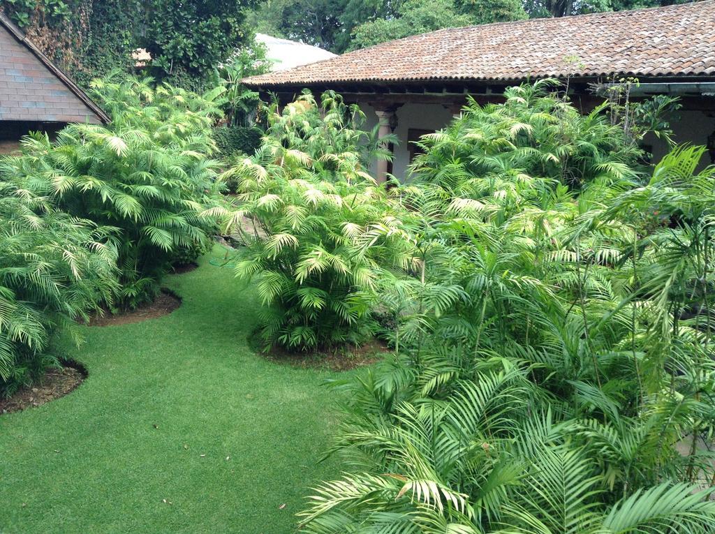 Hotel Hacienda San Pedro Uruapan  Exterior foto